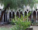 Cloister of St Francis Sorrento