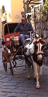 take a carriage ride around historic Sorrento