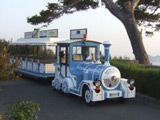 Sorrento 'road train' tour