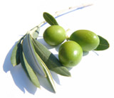 Olives from Sorrento