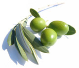 Sorrento olives