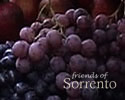 Wines of Sorrento and the Campania region