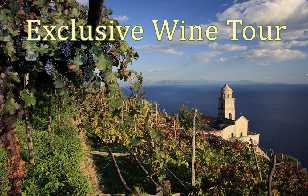 Exclusive wine tours from Sorrento