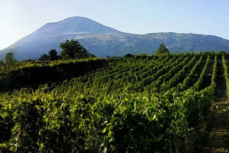 Pompeii wine tasting tours from Sorrento