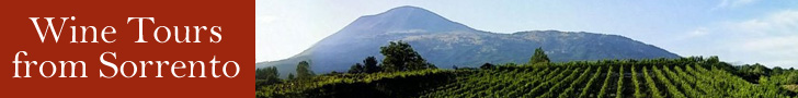 Wine tours from Sorrento