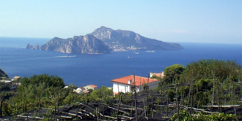 View of the island of Capri