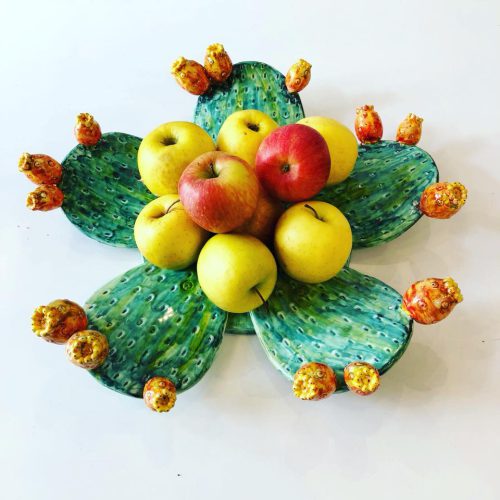 rosalinda acampora cactus dish